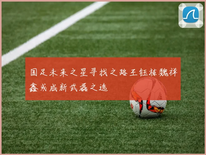 国足未来之星寻找之路王钰栋魏祥鑫或成新武磊之选